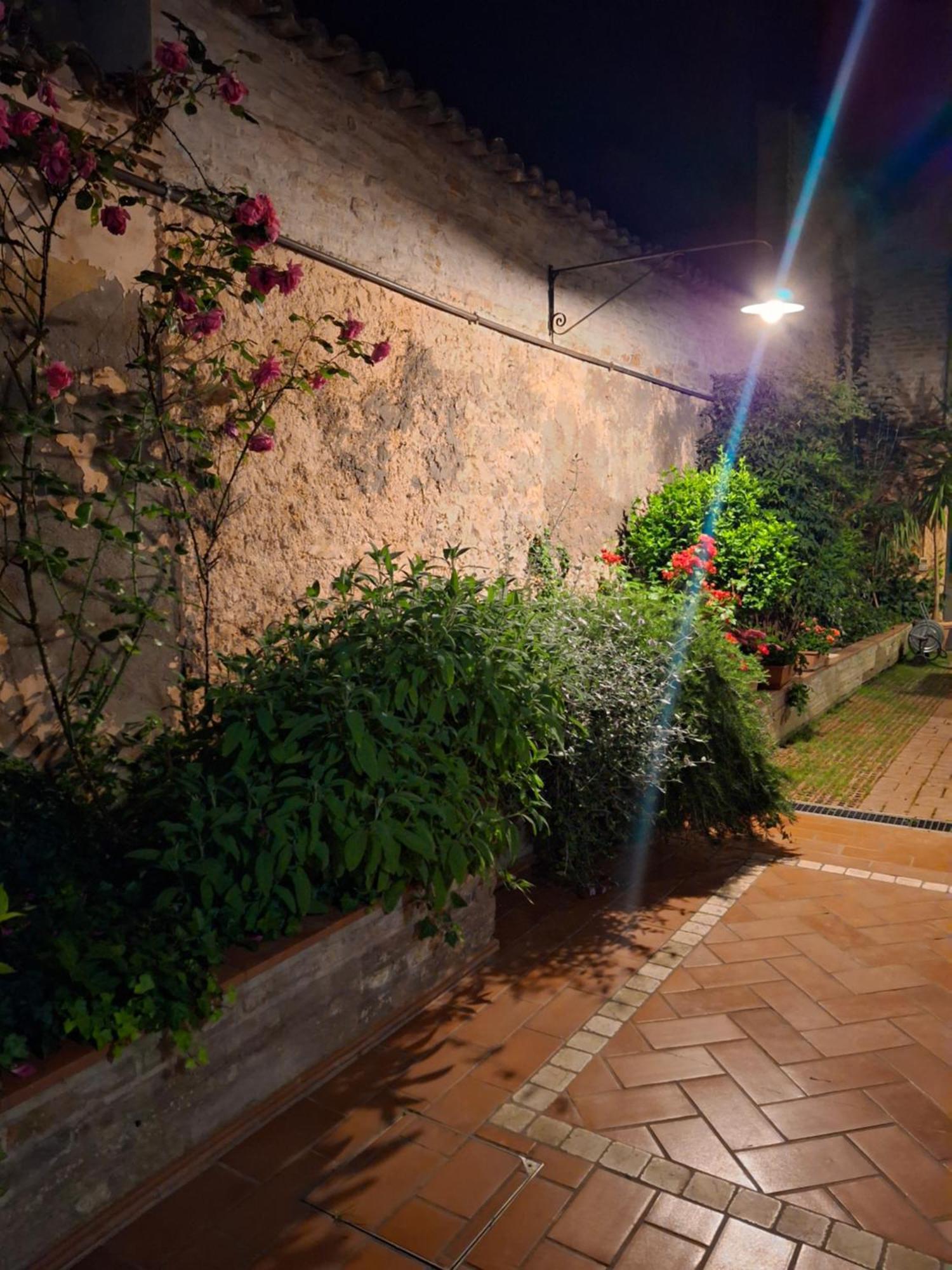 Casa Agostino Codazzi Dimora Storica Lugo  Esterno foto